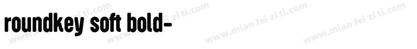 roundkey soft bold字体转换